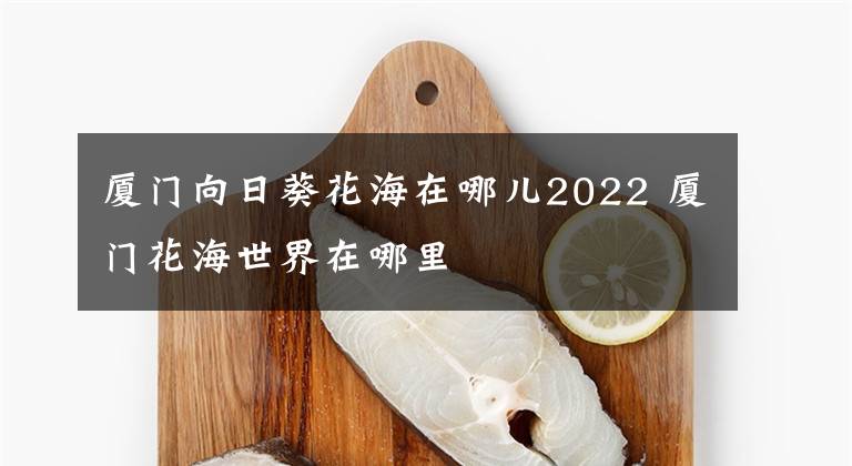 厦门向日葵花海在哪儿2022 厦门花海世界在哪里