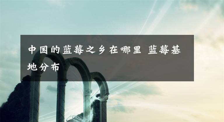 中国的蓝莓之乡在哪里 蓝莓基地分布
