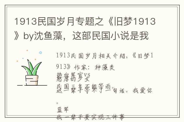 1913民国岁月专题之《旧梦1913》by沈鱼藻，这部民国小说是我唯一的意难平