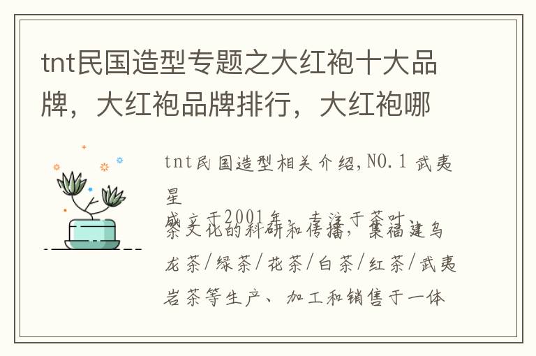 tnt民国造型专题之大红袍十大品牌，大红袍品牌排行，大红袍哪个品牌好