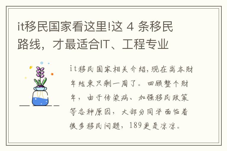 it移民国家看这里!这 4 条移民路线，才最适合IT、工程专业