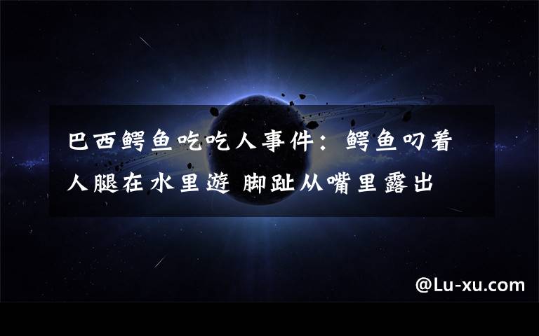 巴西鳄鱼吃吃人事件：鳄鱼叼着人腿在水里游 脚趾从嘴里露出
