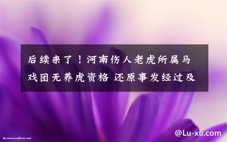 后续来了！河南伤人老虎所属马戏团无养虎资格 还原事发经过及背后真相！