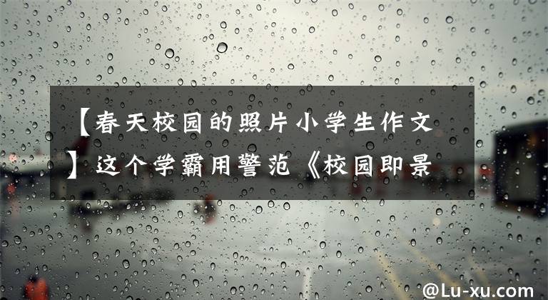 【春天校园的照片小学生作文】这个学霸用警范《校园即景》就能一眼记住，期末满分。
