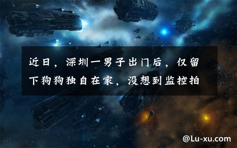 近日，深圳一男子出门后，仅留下狗狗独自在家，没想到监控拍下不可思议的一幕。