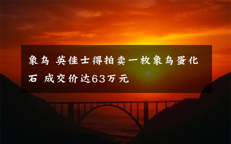 象鸟 英佳士得拍卖一枚象鸟蛋化石 成交价达63万元