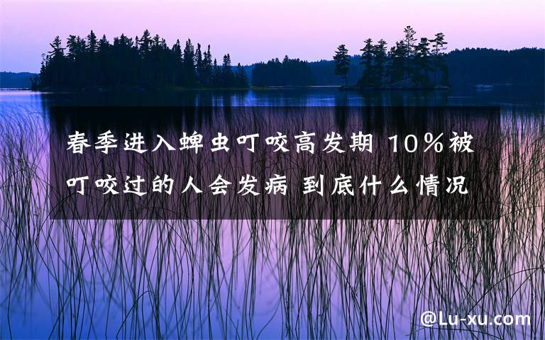 春季进入蜱虫叮咬高发期 10％被叮咬过的人会发病 到底什么情况呢？