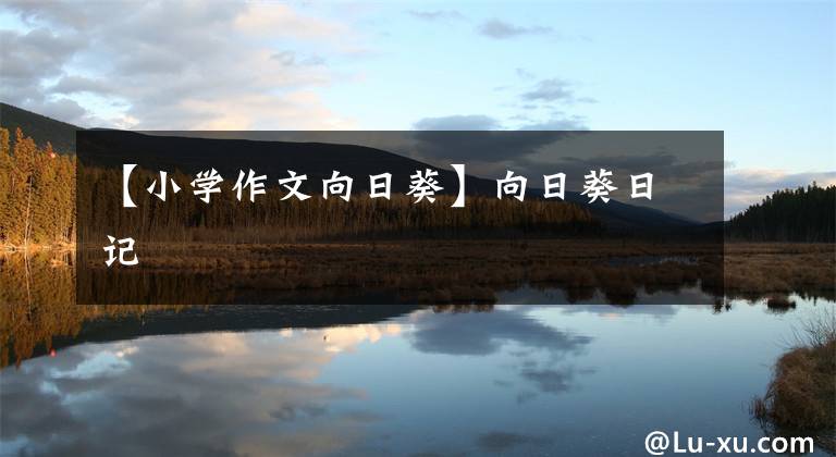 【小学作文向日葵】向日葵日记