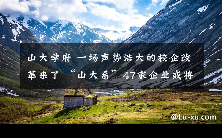 山大学府 一场声势浩大的校企改革来了 “山大系”47家企业或将易主山东国投