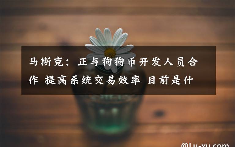 马斯克：正与狗狗币开发人员合作 提高系统交易效率 目前是什么情况？