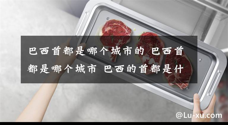 巴西首都是哪个城市的 巴西首都是哪个城市 巴西的首都是什么城市