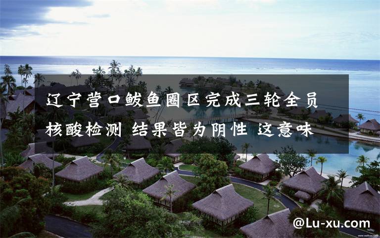 辽宁营口鲅鱼圈区完成三轮全员核酸检测 结果皆为阴性 这意味着什么?