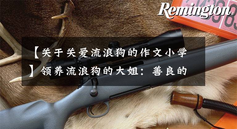 【关于关爱流浪狗的作文小学】领养流浪狗的大姐：善良的人，希望你一辈子温柔对待我。
