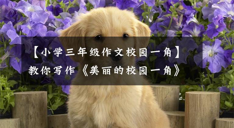 【小学三年级作文校园一角】教你写作《美丽的校园一角》