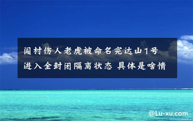 闯村伤人老虎被命名完达山1号 进入全封闭隔离状态 具体是啥情况?