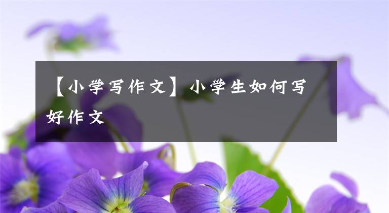 【小学写作文】小学生如何写好作文