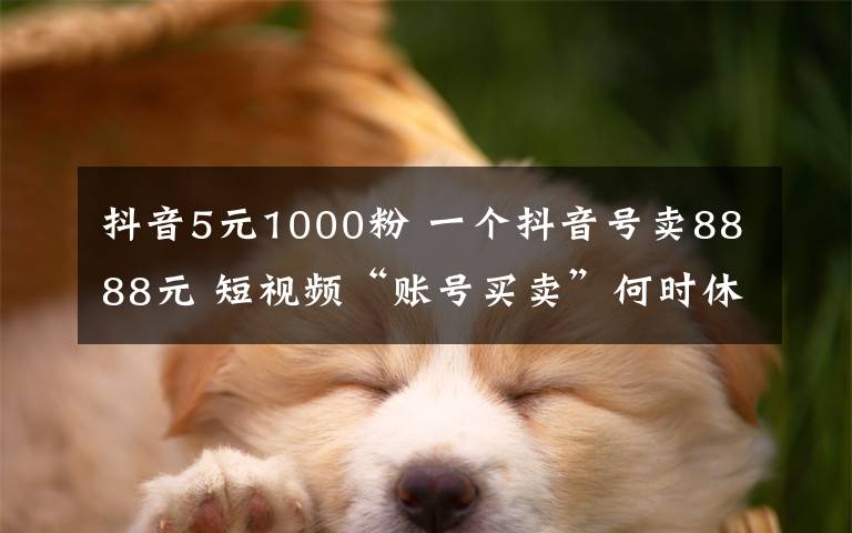抖音5元1000粉 一个抖音号卖8888元 短视频“账号买卖”何时休？