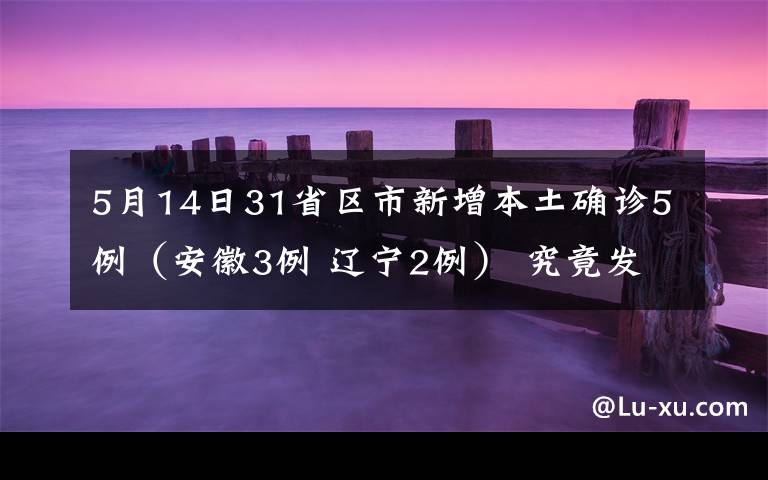 5月14日31省区市新增本土确诊5例（安徽3例 辽宁2例） 究竟发生了什么?