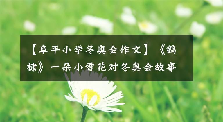 【阜平小学冬奥会作文】《鹤棣》一朵小雪花对冬奥会故事——开幕式的欣赏感(1)