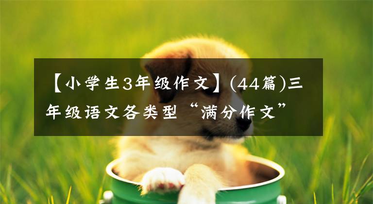 【小学生3年级作文】(44篇)三年级语文各类型“满分作文”印在孩子们身上，进行暑假练习。