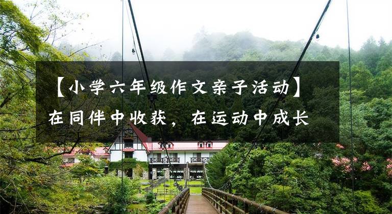 【小学六年级作文亲子活动】在同伴中收获，在运动中成长！亲子活动认识