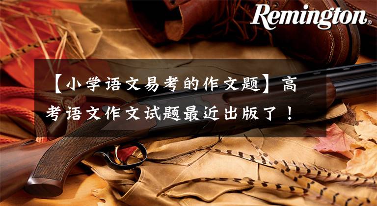 【小学语文易考的作文题】高考语文作文试题最近出版了！什么题目使你有感觉？