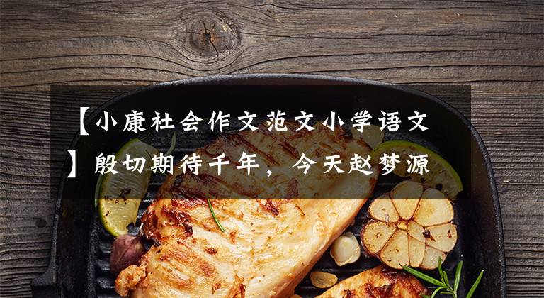 【小康社会作文范文小学语文】殷切期待千年，今天赵梦源——《小康之大》感想。