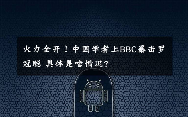 火力全开！中国学者上BBC暴击罗冠聪 具体是啥情况?