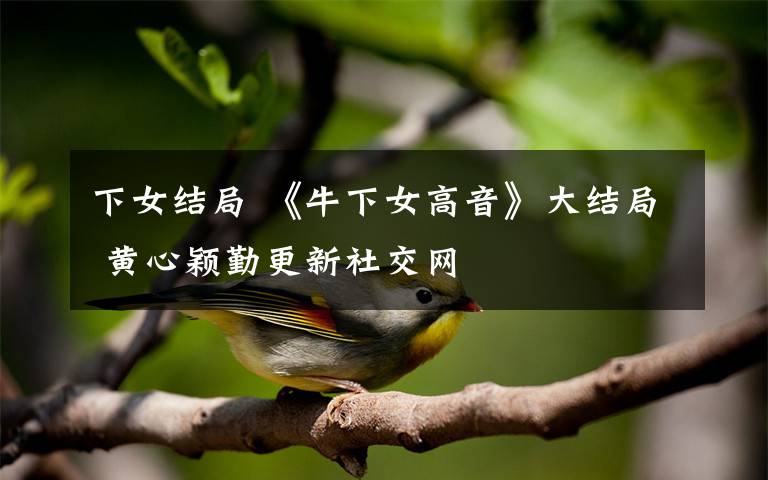 下女结局 《牛下女高音》大结局 黄心颖勤更新社交网