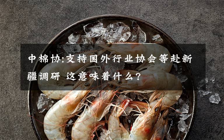 中棉协:支持国外行业协会等赴新疆调研 这意味着什么?