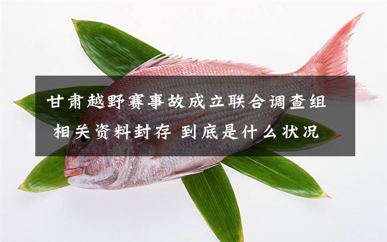 甘肃越野赛事故成立联合调查组 相关资料封存 到底是什么状况？