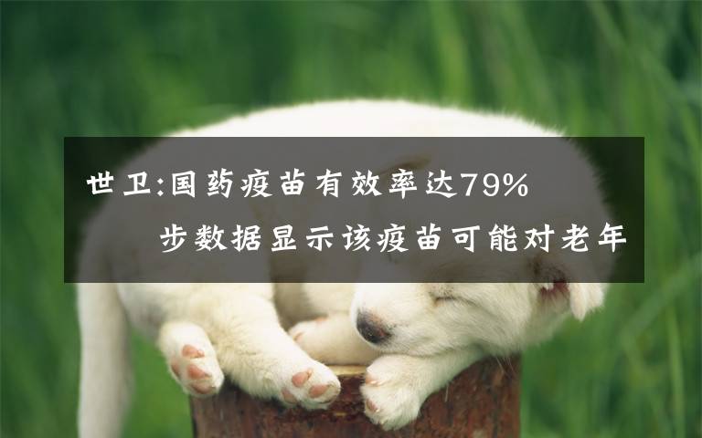 世卫:国药疫苗有效率达79%   初步数据显示该疫苗可能对老年人也有保护作用 真相原来是这样！