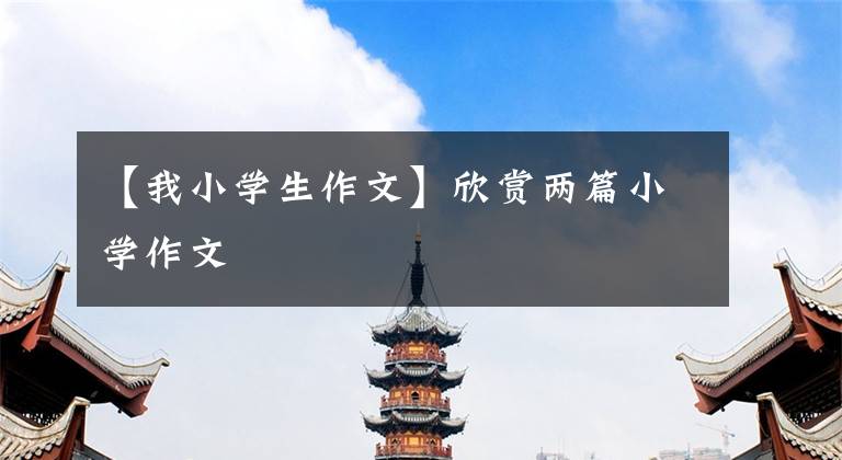 【我小学生作文】欣赏两篇小学作文