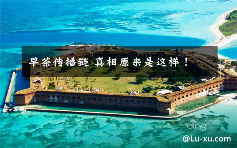 早茶传播链 真相原来是这样！