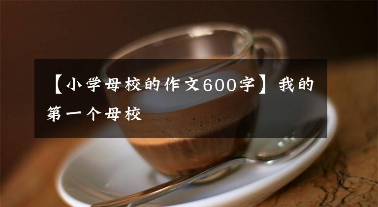 【小学母校的作文600字】我的第一个母校