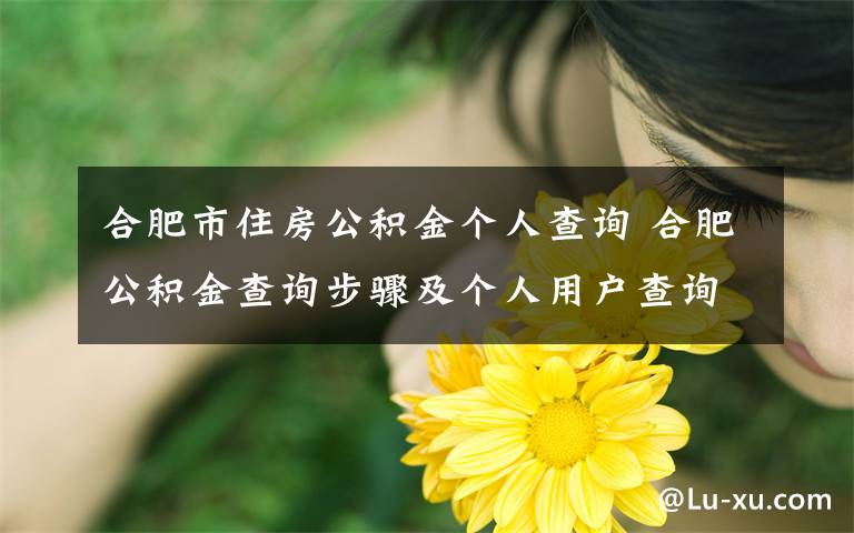 合肥市住房公积金个人查询 合肥公积金查询步骤及个人用户查询公积金步骤 附合肥公积金查询网址