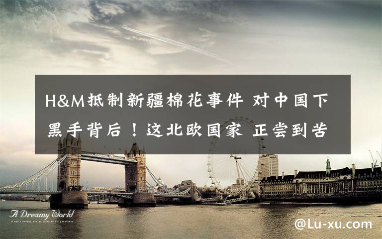 H&M抵制新疆棉花事件 对中国下黑手背后！这北欧国家 正尝到苦果