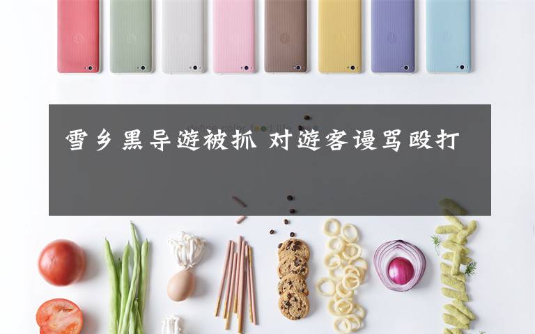 雪乡黑导游被抓 对游客谩骂殴打