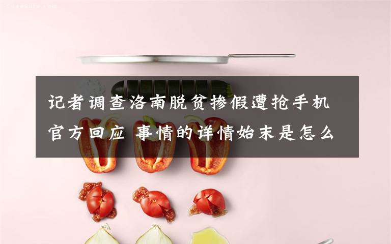 记者调查洛南脱贫掺假遭抢手机官方回应 事情的详情始末是怎么样了！
