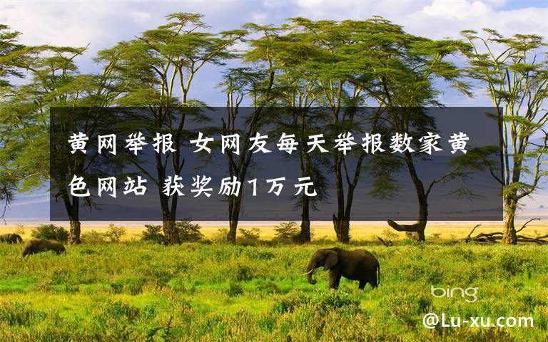 黄网举报 女网友每天举报数家黄色网站 获奖励1万元