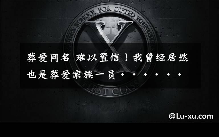 葬爱网名 难以置信！我曾经居然也是葬爱家族一员······