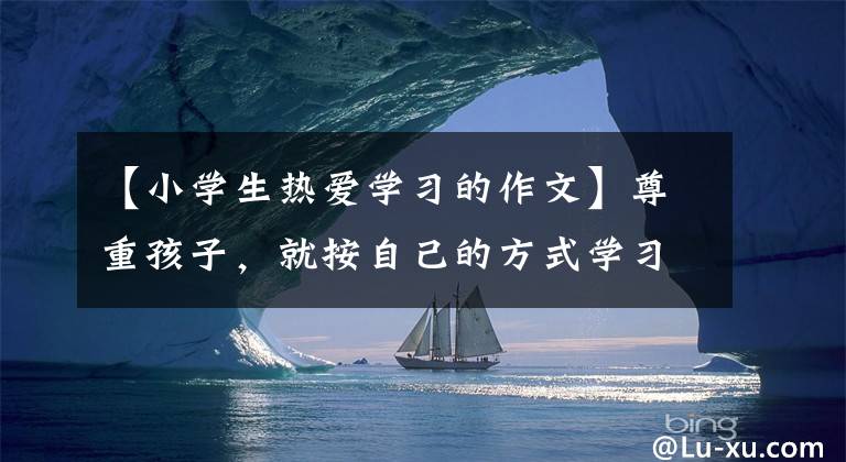 【小学生热爱学习的作文】尊重孩子，就按自己的方式学习