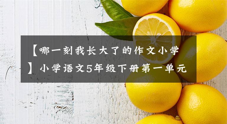 【哪一刻我长大了的作文小学】小学语文5年级下册第一单元习作：那一刻，我长大了