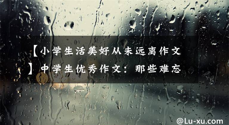 【小学生活美好从未远离作文】中学生优秀作文：那些难忘的记忆，从未离开过我。
