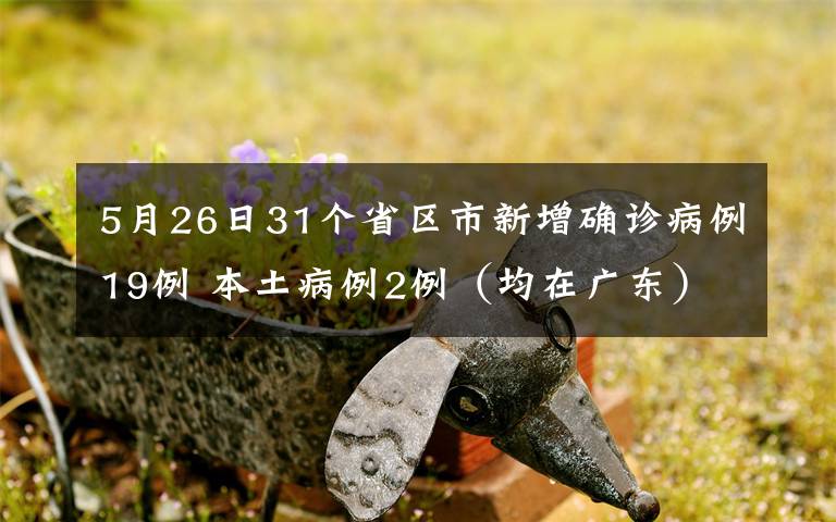 5月26日31个省区市新增确诊病例19例 本土病例2例（均在广东） 还原事发经过及背后原因！