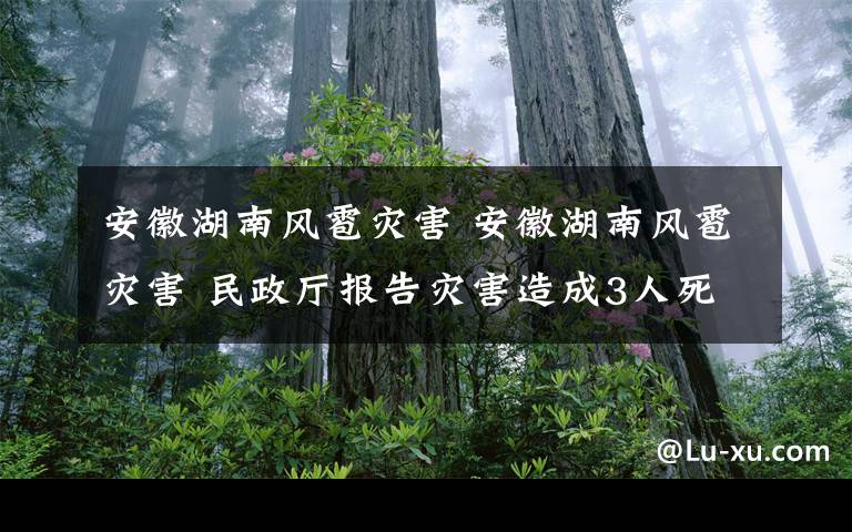 安徽湖南风雹灾害 安徽湖南风雹灾害 民政厅报告灾害造成3人死亡1人失踪