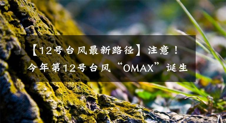 【12号台风最新路径】注意！今年第12号台风“OMAX”诞生了！厦门未来三天将迎来强劲的对流频发