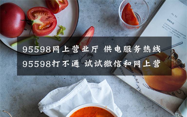 95598网上营业厅 供电服务热线95598打不通 试试微信和网上营业厅