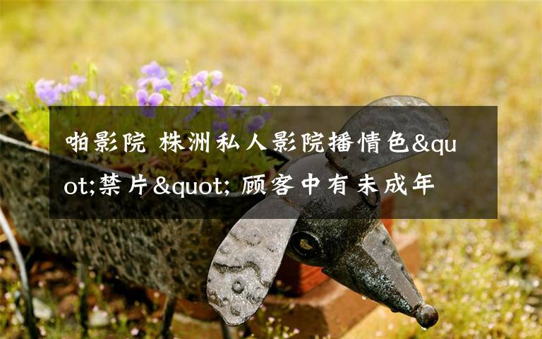 啪影院 株洲私人影院播情色"禁片" 顾客中有未成年人