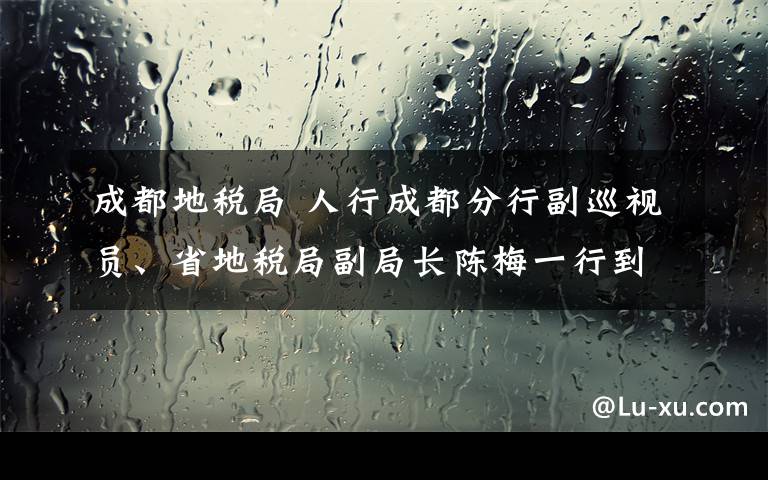 成都地税局 人行成都分行副巡视员、省地税局副局长陈梅一行到内江调研